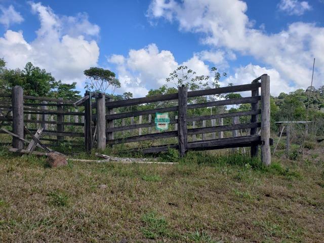 Ubaitaba. Fazenda de oportunidade. São 527 Hectares - Foto 8