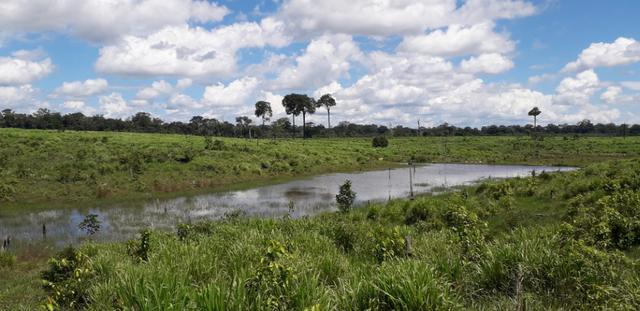 Fazenda em Roraima top - Foto 7