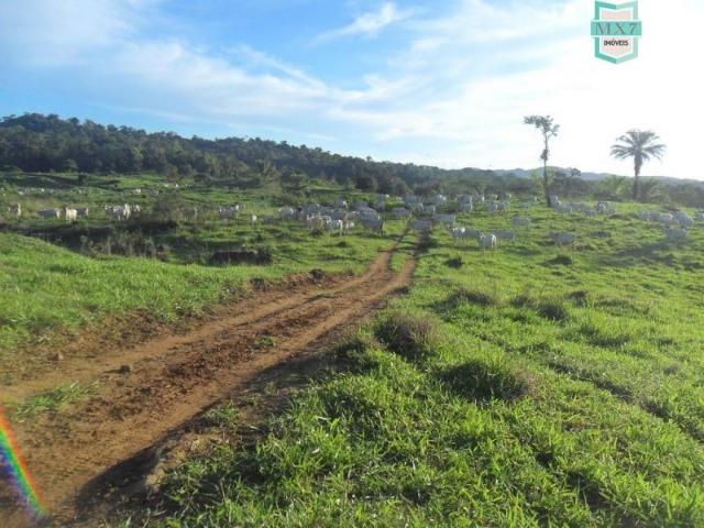 Fazenda em Ubaitaba de 430 Hectares, para gado e cacau. Próximo a Gongogi - Foto 17