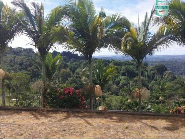 Aiquara . Ótima fazenda produtora de cacau - Foto 4