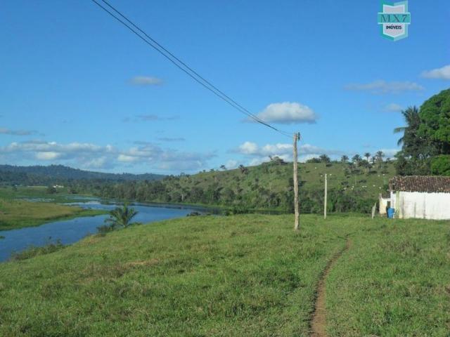 Fazenda em Ubaitaba de 430 Hectares, para gado e cacau. Próximo a Gongogi - Foto 6