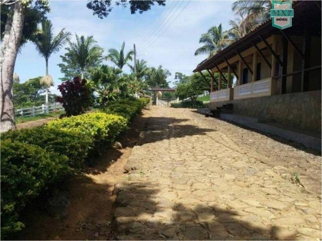 Aiquara . Ótima fazenda produtora de cacau - Foto 11