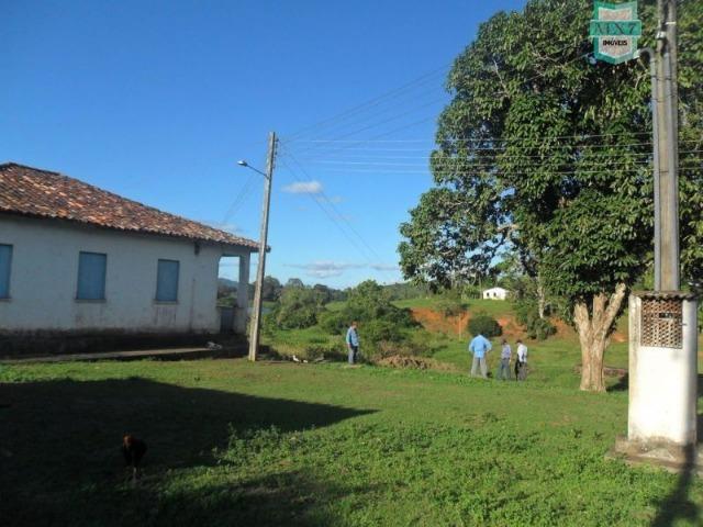 Fazenda em Ubaitaba de 430 Hectares, para gado e cacau. Próximo a Gongogi - Foto 14