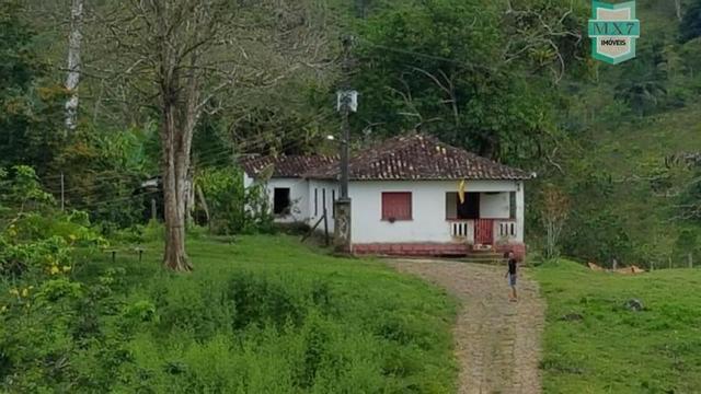 Ubaitaba. Fazenda de 450 Hectares, produção de cacau e gado, completa infraestrutura. - Foto 10