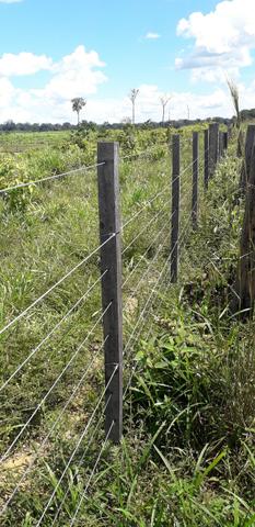 Fazenda em Roraima top - Foto 9
