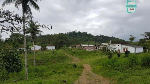 Ubaitaba. Fazenda de 450 Hectares, produção de cacau e gado, completa infraestrutura. - Foto 15