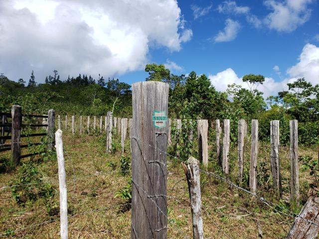 Ubaitaba. Fazenda de oportunidade. São 527 Hectares - Foto 13
