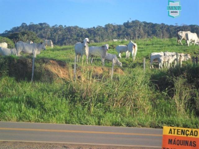 Fazenda em Ubaitaba de 430 Hectares, para gado e cacau. Próximo a Gongogi - Foto 18