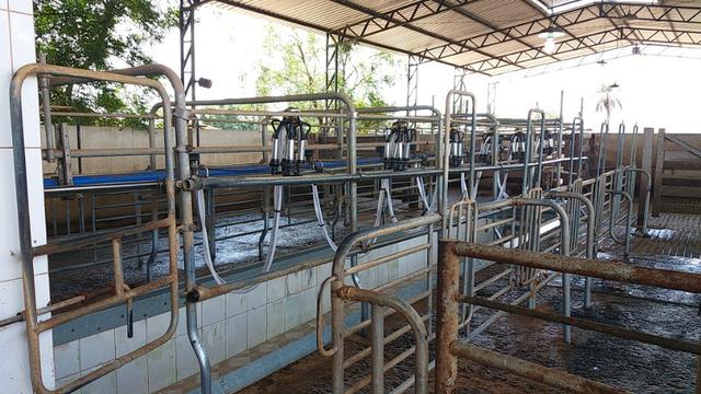 Fazenda Completa Para Gado, Formosa-Go (Oportunidade) - Foto 2