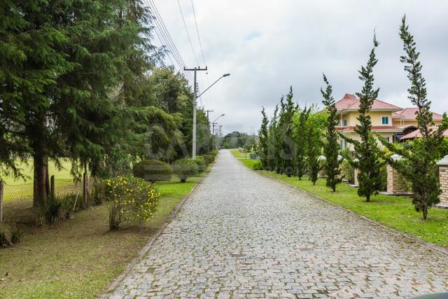 Terreno com 1250m² Campo Largo da Roseira, São José dos Pinhais - Foto 2