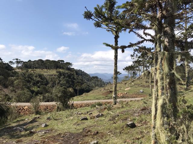 Terreno Urubici - Foto 3