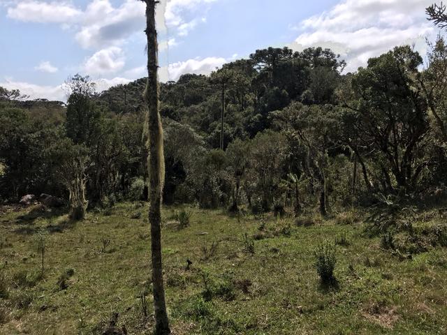 Terreno Urubici - Foto 10