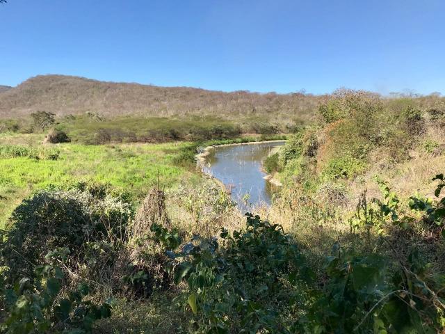 Sitio a venda em Quixadá - Foto 2