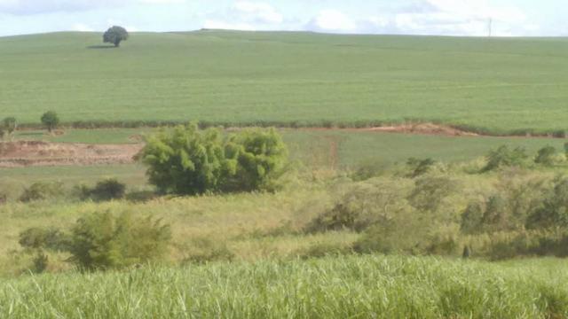 Terra rocha boa p/plantios agricola e criame de peixe etc - Foto 4