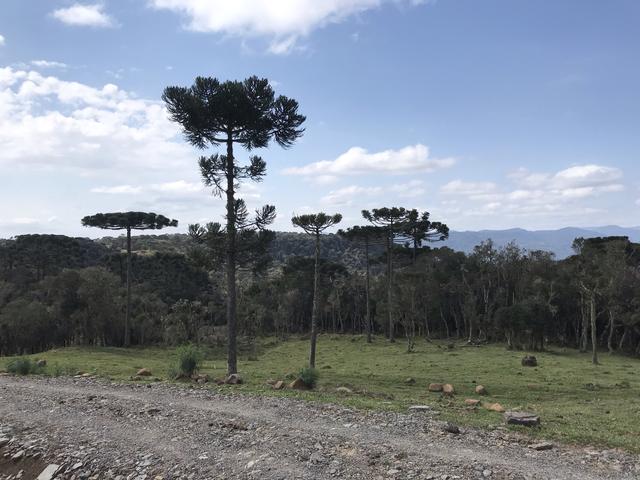 Chacara Urubici - Foto 2