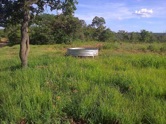 Oportunidade Entrada R$ 1.200.000,00 restante em 05 anos sem juros - planta 300 hectares - Foto 6