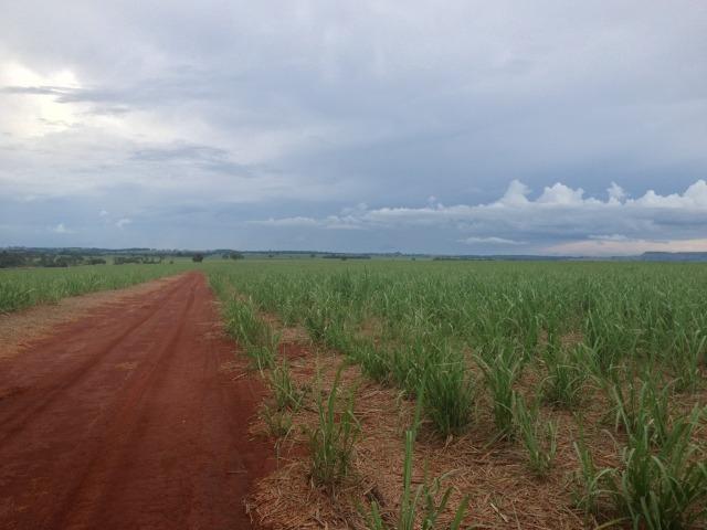Fazenda 3.533 há - Foto 16