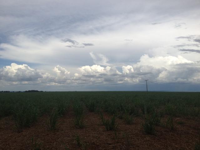 Fazenda 3.533 há - Foto 4