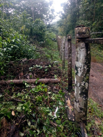 4,42 hectares em Benevides por 250 mil reais porteira fechada - Foto 3
