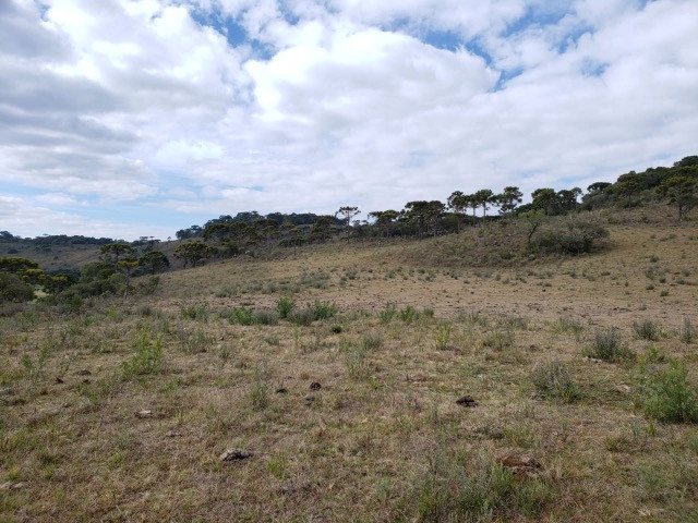 Sitio em Urupema/ sitio próximo de Urubici - Foto 2