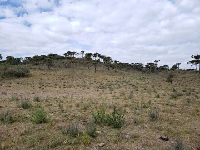 Sitio em Urupema/ sitio próximo de Urubici - Foto 6