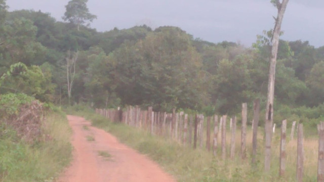 4,42 hectares em Benevides por 250 mil reais porteira fechada - Foto 20