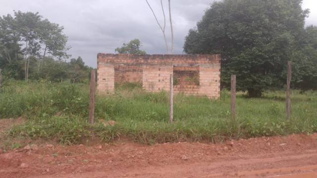 4,42 hectares em Benevides por 250 mil reais porteira fechada - Foto 8