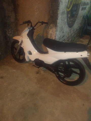 50TINHA FÊNIX