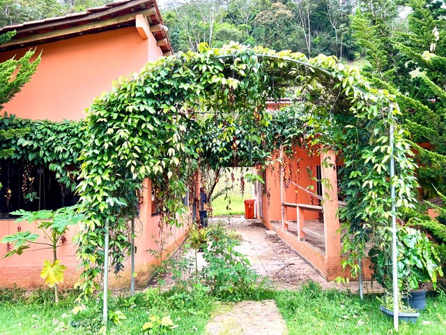 Seu Refúgio de 20000m2 em Santa Teresa Espera por Você! - Foto 7