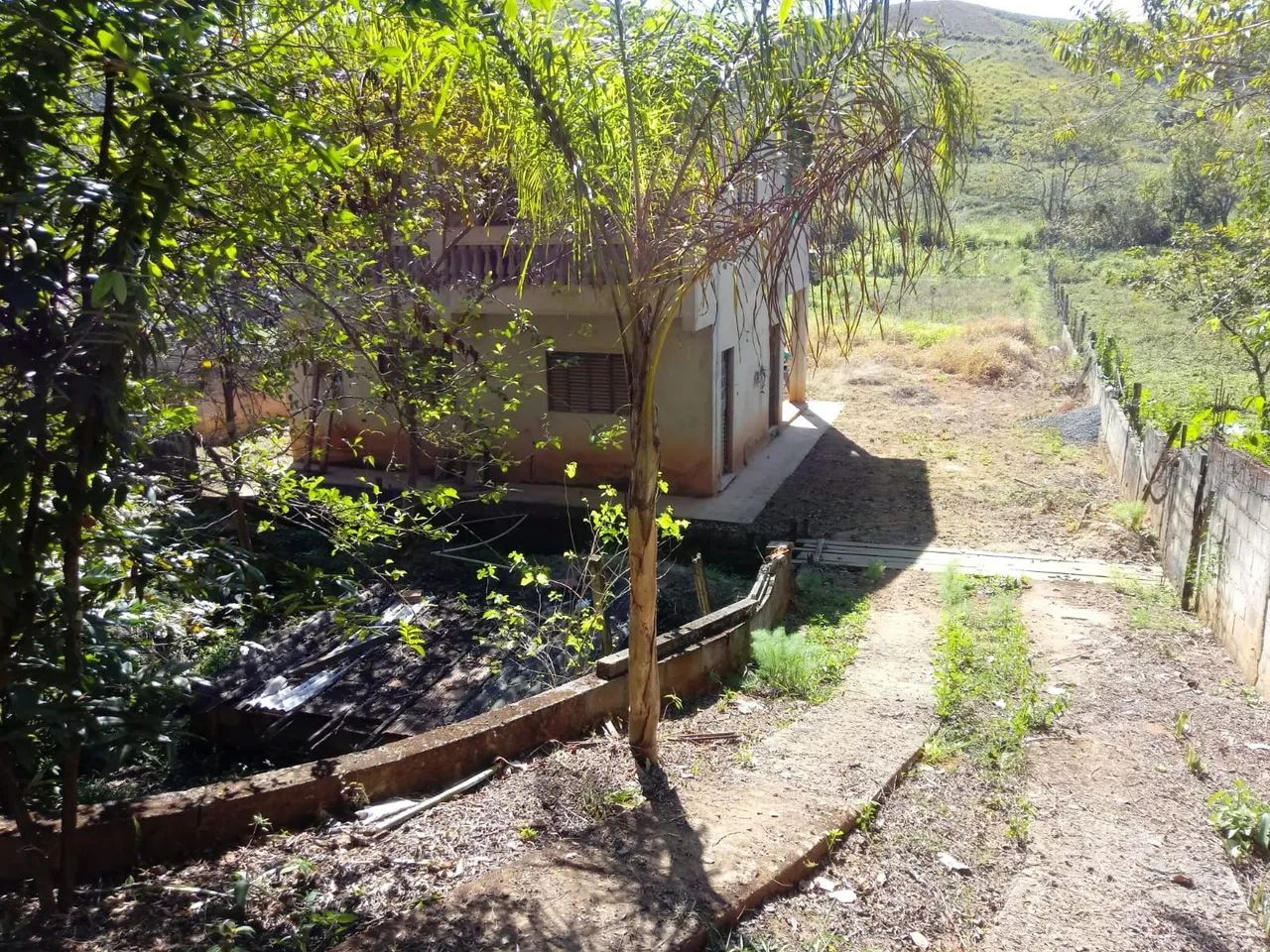 foto - São José dos Campos - Bosque dos Eucaliptos