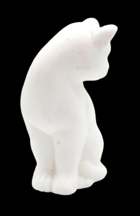 Gatinho Branco - Foto 4