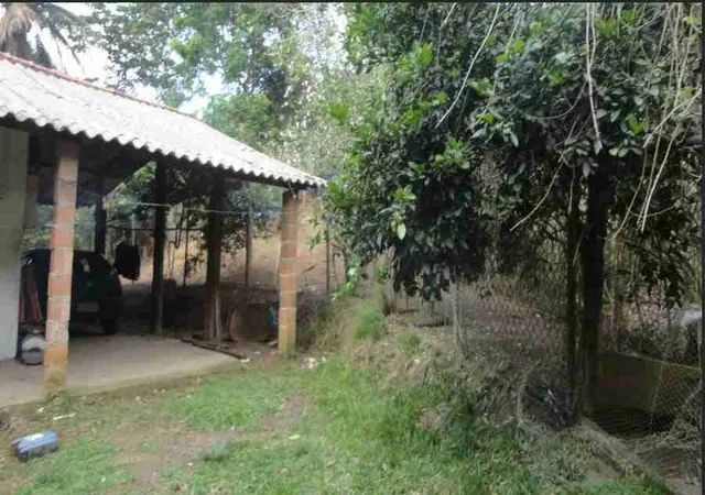 Vendo Chácara com 9.600 mts aproximadamente  - Foto 3