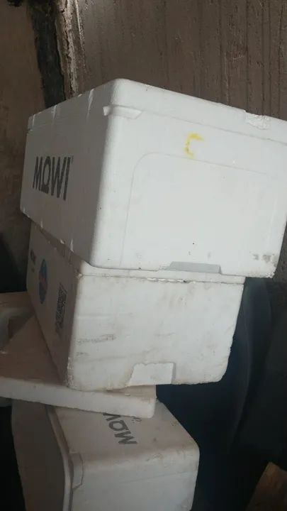 Caixa de isopor de Salmão