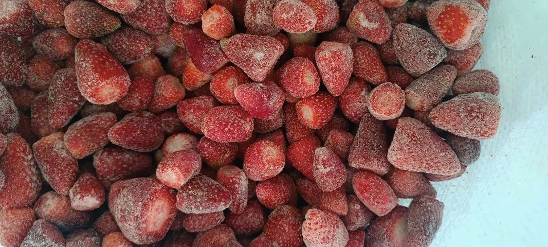 Morango Congelado Fruta Polpa
