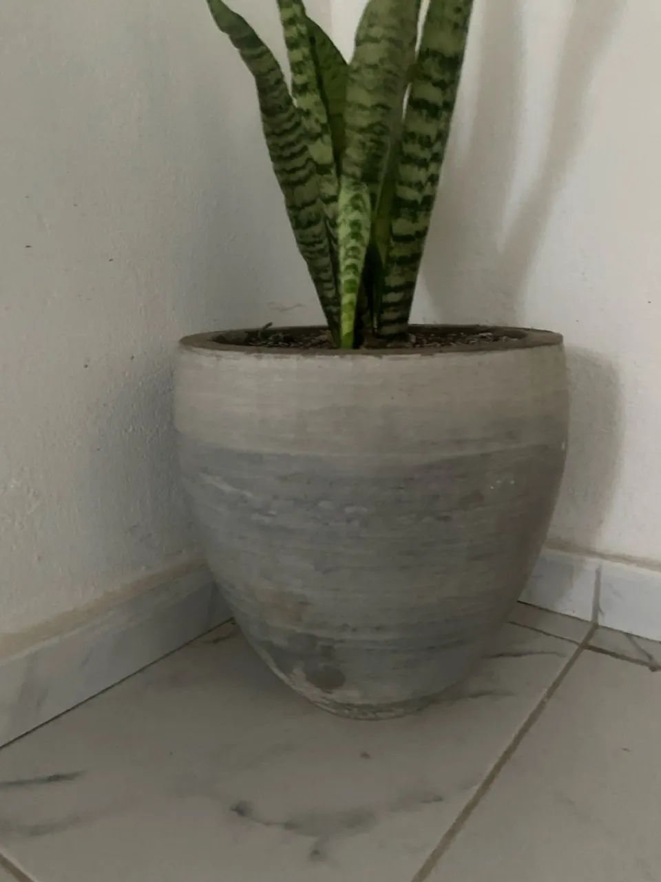 Vaso de cimento 