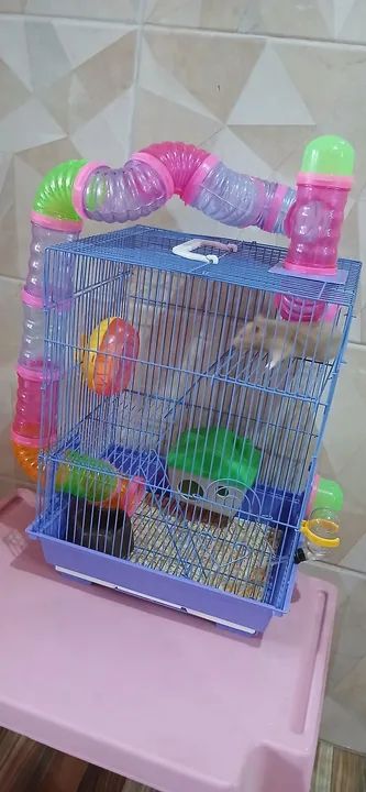 2 Gaiolas para 2 Hamsters com Acessórios - Foto 5