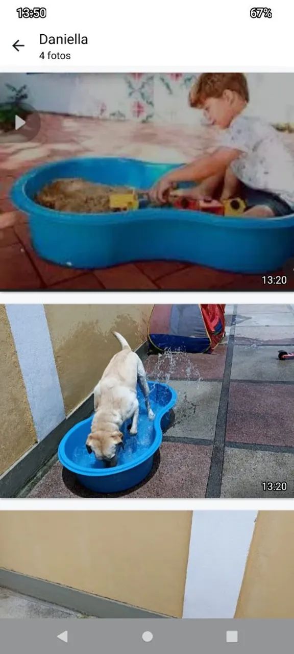 Piscina para pets - Foto 2