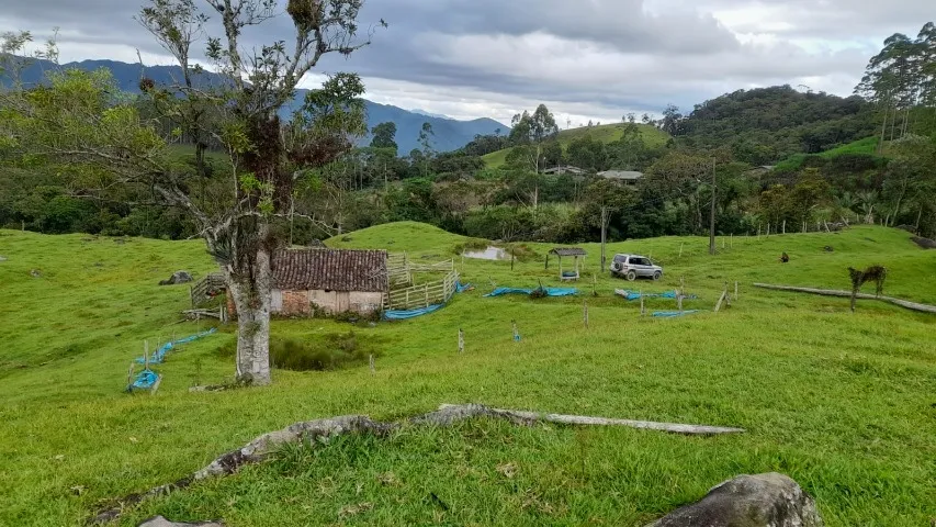 Excelente Área 13 hectares, Pastagem, Roça, Riacho, Água de Fonte, Egito, Antônio Carlos S