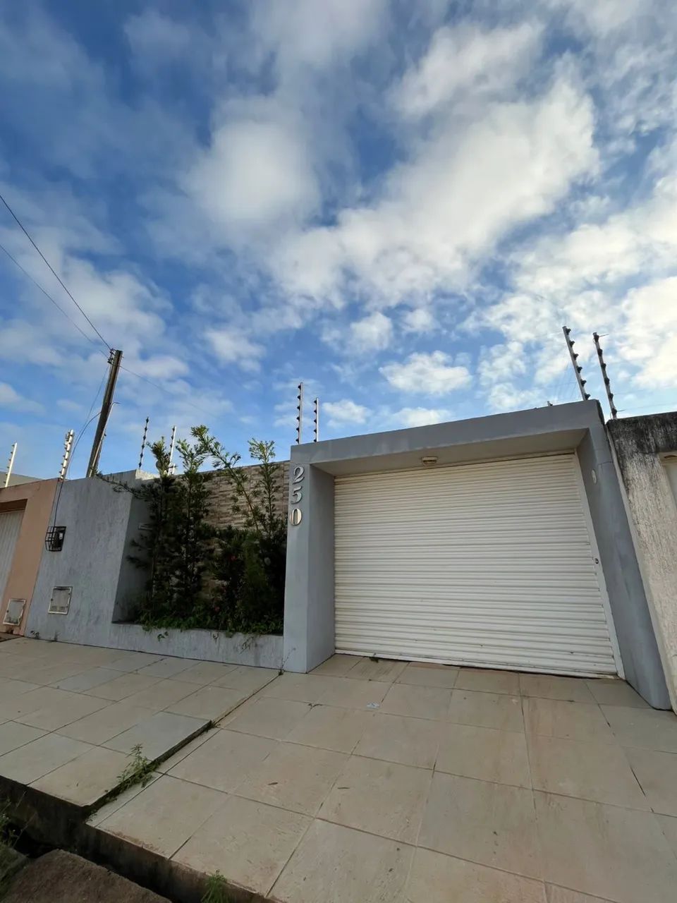 Foto - Arapiraca - Zélia Barbosa Rocha