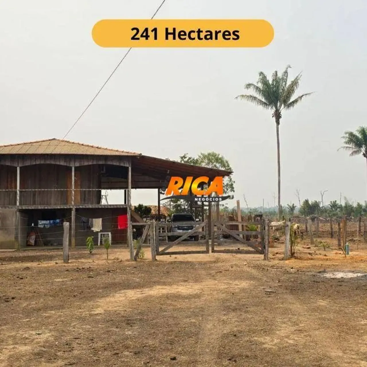 FAZENDA À VENDA OPORTUNIDADE ÚNICA NA BR-230 (SENTIDO HUMAITÁ)