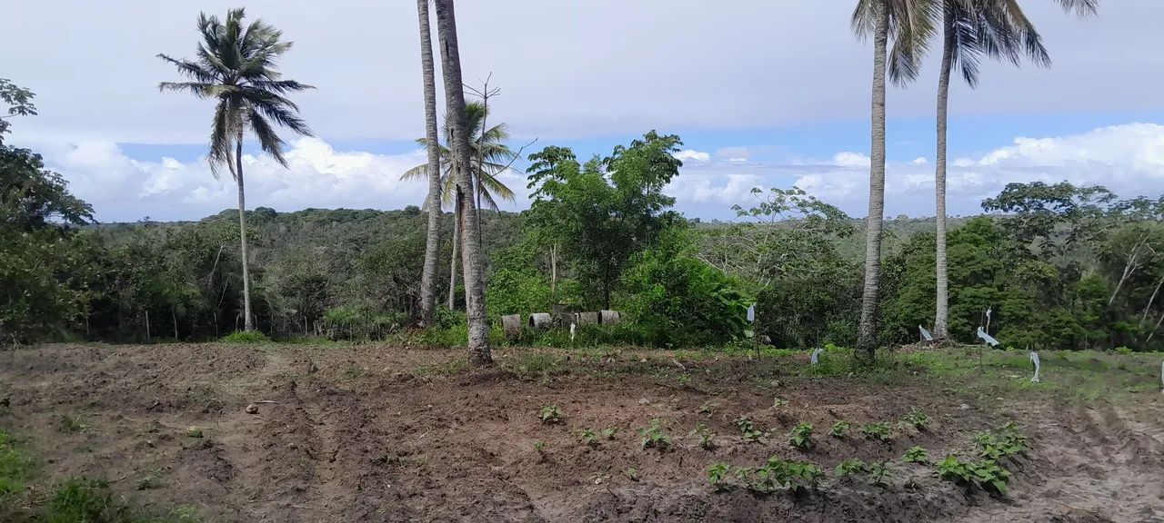 Sitio 3 taferas itaporanga  - Foto 9