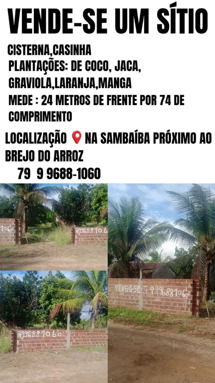 Vende-se sítio com vários pés de frutas