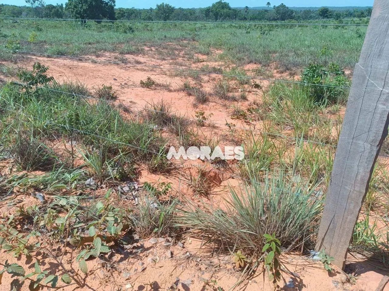 Fazenda à venda, 1892,35 Hectares por R$ 12.000.000 - Recursolândia/TO - Foto 5