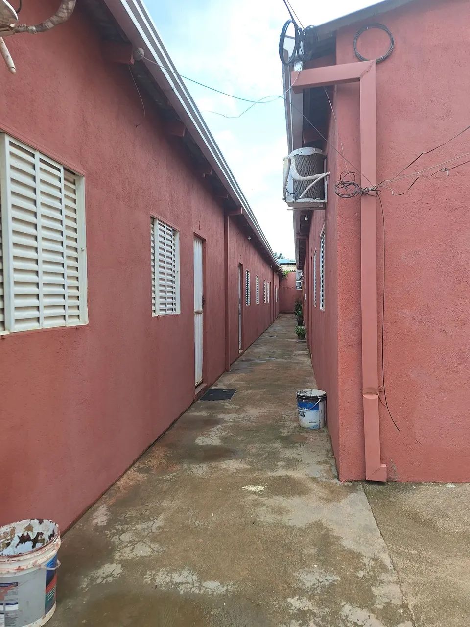 Foto - Porto Velho - Castanheira