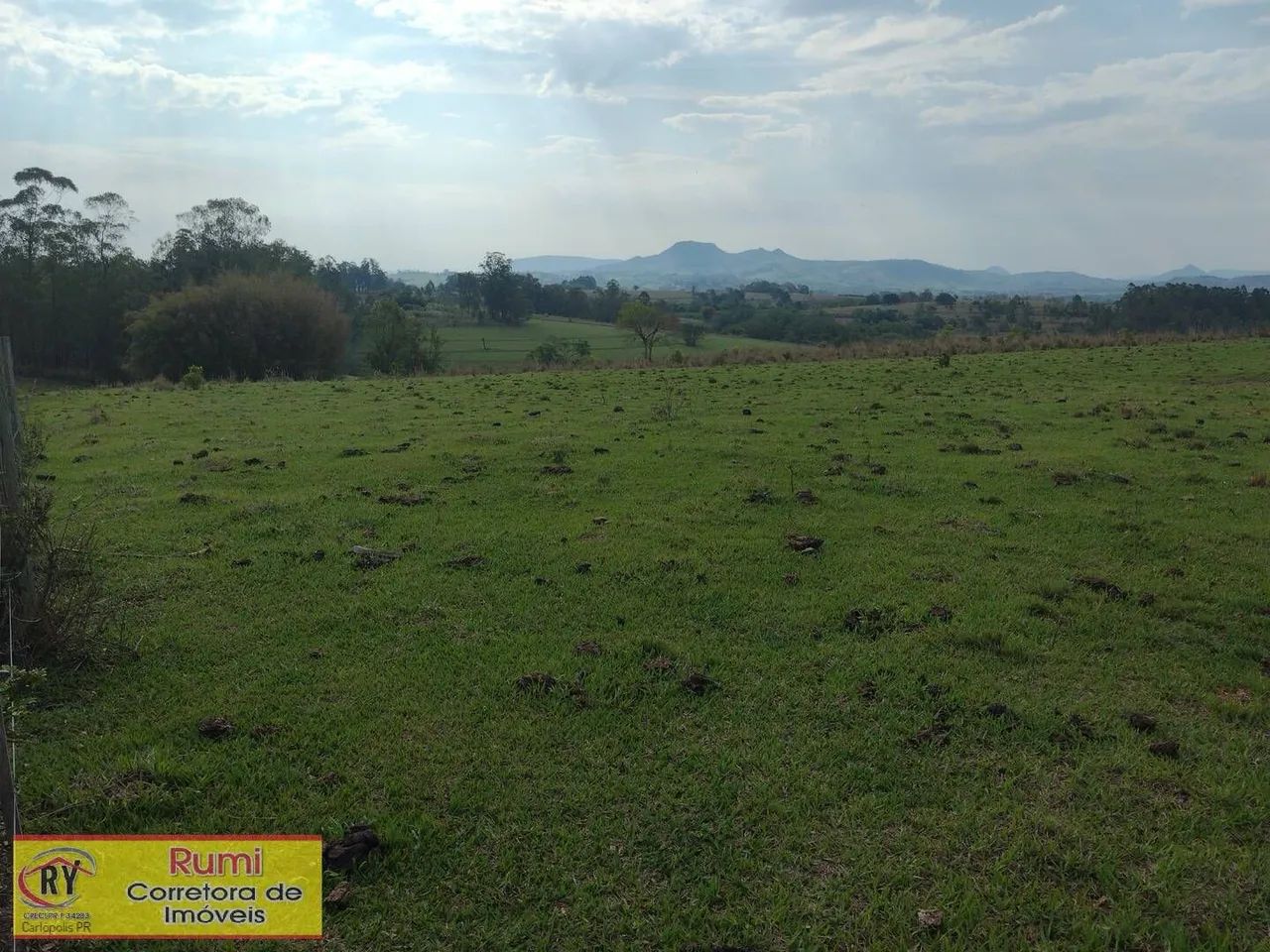 Vende-se Sítio 4.75 alqueires em Carlopolis PR - Foto 4