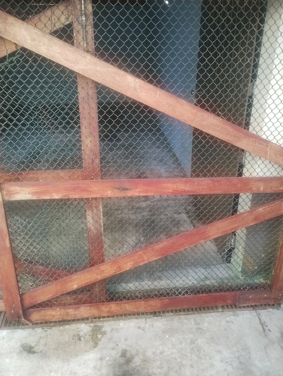 Porta de Madeira com Tela de Proteção