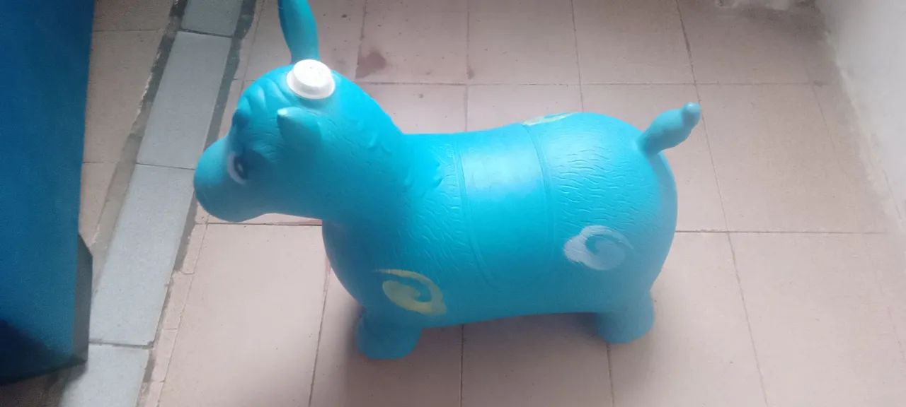 Vendo Cavalinho por 50 reais  - Foto 3
