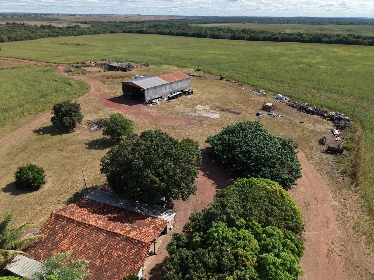 Fazenda de arrendamento 600hec em Canarana MT. - Foto 6