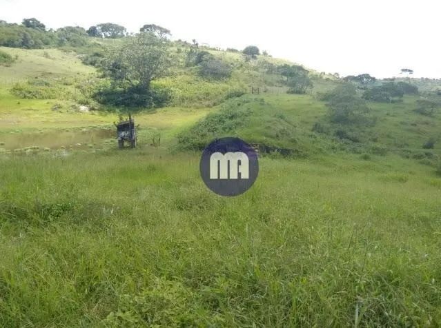 SITIO A 18km de Campina - Foto 3