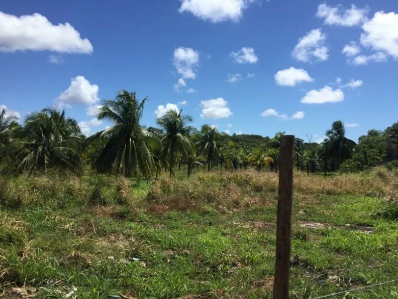 AREA COMERCIAL em CAMAÇARI - BA, CATU DE ABRANTES (ABRANTES) - Foto 4